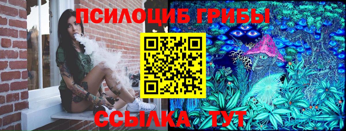 Владикавказ  Псилоцибиновые грибы MAGIC MUSHROOMS  Вход с VPN 